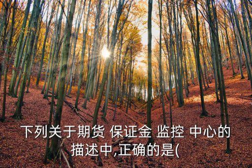 下列關(guān)于期貨 保證金 監(jiān)控 中心的描述中,正確的是(