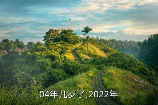 04年的今年多大,2020年04年的今年多大