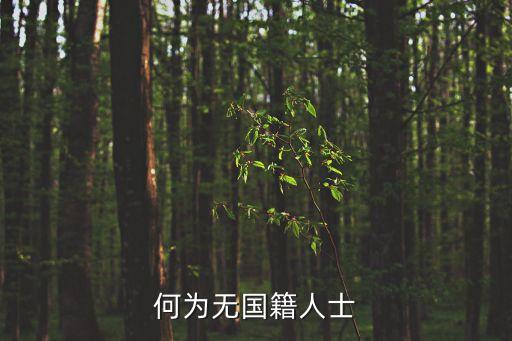 無國籍人，何為無國籍人士