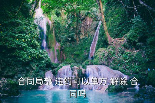 一方違約另一方有權(quán)解除合同嗎