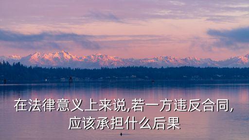 合同法在國際商法中存在的問題