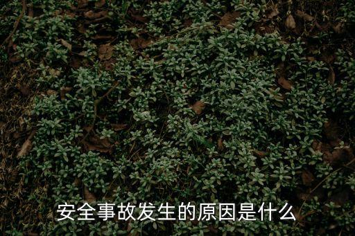 安全事故發(fā)生的原因是什么
