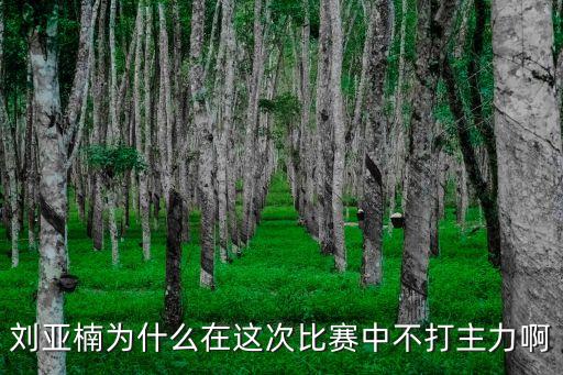 劉亞楠為什么在這次比賽中不打主力啊