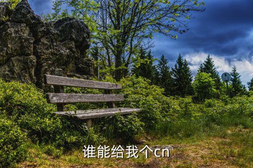 誰(shuí)有黃片