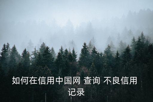 個人不良記錄查詢,不良記錄怎么消除