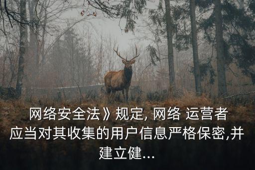 網(wǎng)絡(luò)運(yùn)營者