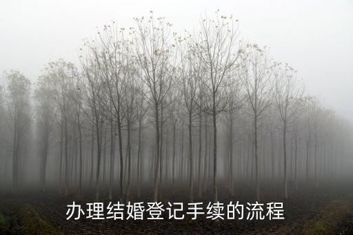 結婚登記流程，結婚登記的步驟