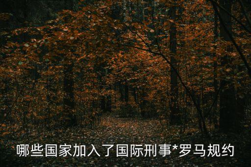 哪些國家加入了國際刑事*羅馬規(guī)約