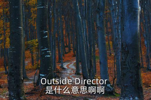 外部董事是什么意思，懂事和獨(dú)立董事有什么區(qū)別都起有什么作用