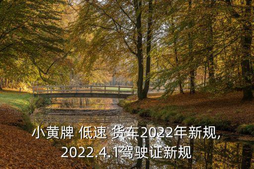 小黃牌 低速 貨車2022年新規(guī),2022.4.1駕駛證新規(guī)