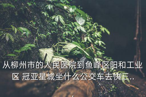 從柳州市的人民醫(yī)院到魚(yú)峰區(qū)陽(yáng)和工業(yè)區(qū) 冠亞星城坐什么公交車(chē)去快三...