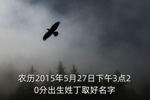 農(nóng)歷2015年5月27日下午3點20分出生姓丁取好名字