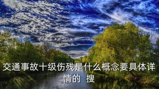 交通事故十級傷殘，交通事故十級傷殘是什么概念要具體詳情的  搜