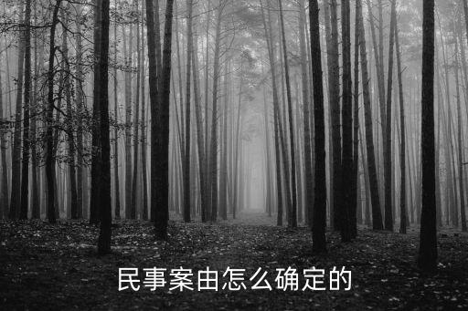民事案由怎么確定的