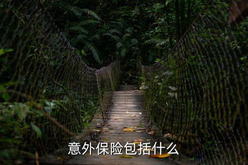 意外保險(xiǎn)包括什么