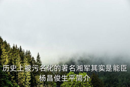 楊昌俊，左宗棠與西北的原文是撒