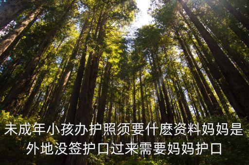 兒童護(hù)照，小孩辦護(hù)照需要的證件