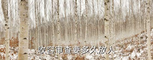 收容審查要多久放人