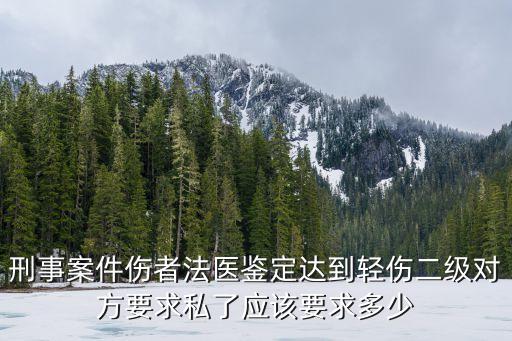 輕傷二級(jí)私了20萬(wàn)多不，輕傷二級(jí)對(duì)方想私了得幾萬(wàn)元