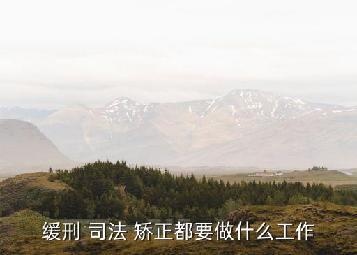 司法矯正