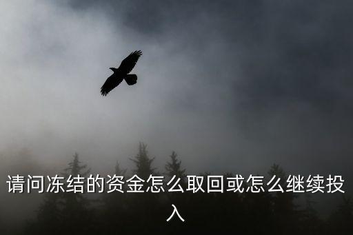 請(qǐng)問(wèn)凍結(jié)的資金怎么取回或怎么繼續(xù)投入