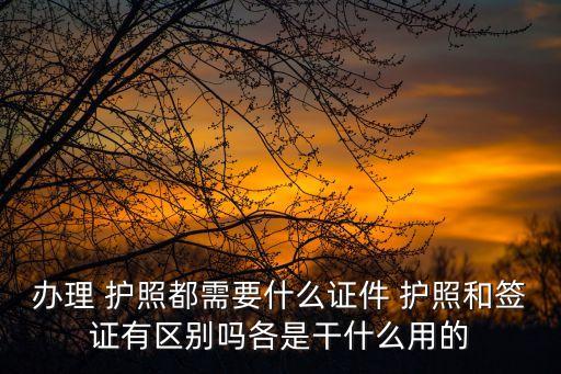 護照是干嘛用的,出國手續(xù)辦理流程