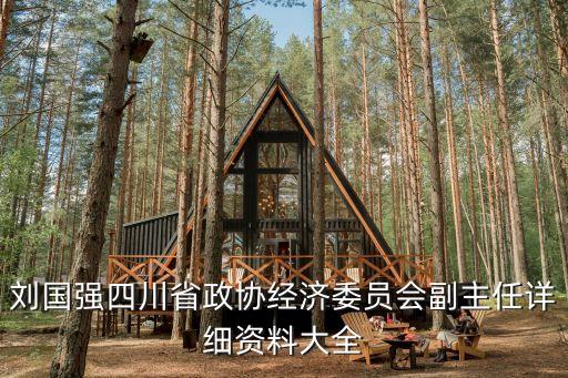 四川省政協(xié)委員，王有治是哪里的硅寶科技董事長(zhǎng)