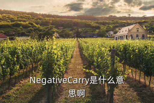 NegativeCarry是什么意思啊