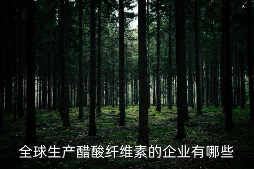 楊占平，全球生產(chǎn)醋酸纖維素的企業(yè)有哪些