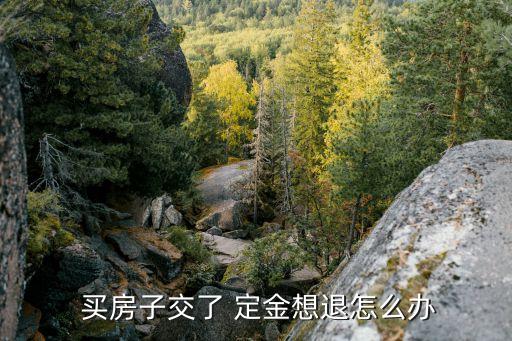  買房子交了 定金想退怎么辦
