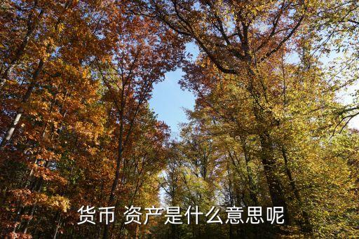 貨幣性資產(chǎn)