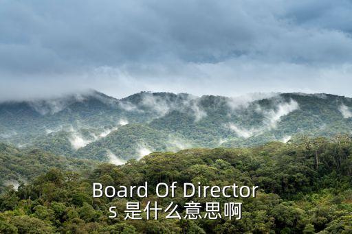 Board Of Directors 是什么意思啊