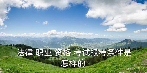 法律資格職業(yè)考試