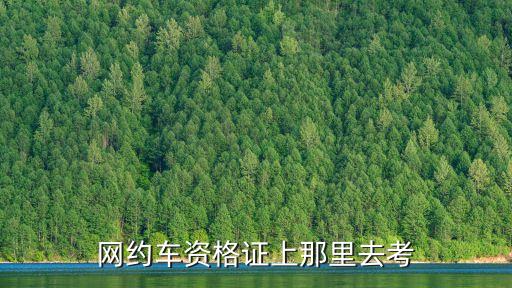 網(wǎng)約車(chē)從業(yè)資格證，網(wǎng)約車(chē)資格證上那里去考