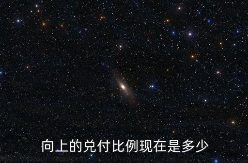向上金服