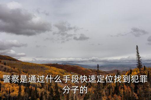 警察是通過什么手段快速定位找到犯罪分子的