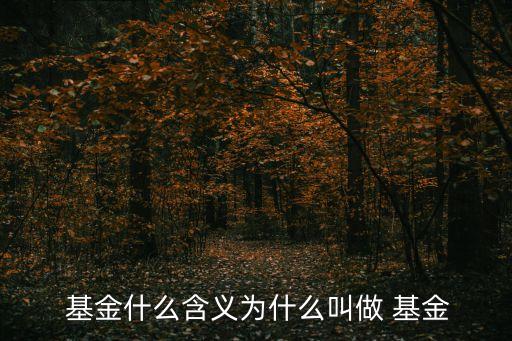 基金什么意思,中證紅利指數(shù)基金什么意思