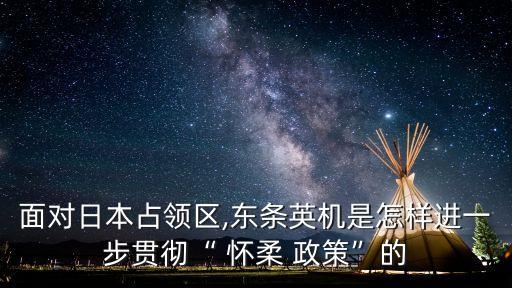 懷柔政策,清朝的懷柔政策
