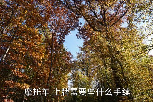 摩托車上牌流程,電動(dòng)兩輪輕便摩托車上牌流程