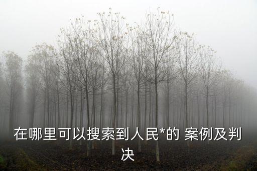 在哪里可以搜索到人民*的 案例及判決