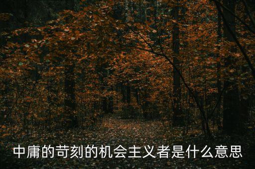機(jī)會(huì)主義行為，中庸的苛刻的機(jī)會(huì)主義者是什么意思