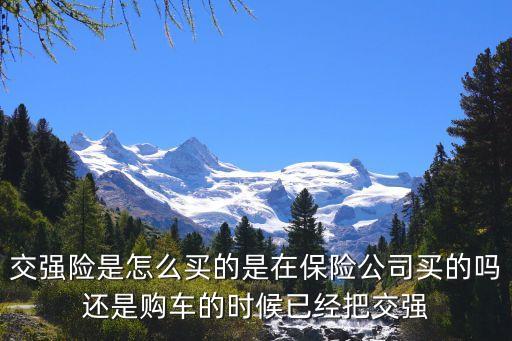 交強(qiáng)險哪里買，長沙單獨(dú)買交強(qiáng)險在哪里買