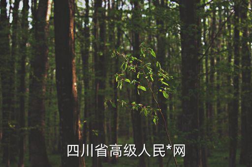 四川高院，四川省高級人民*網(wǎng)