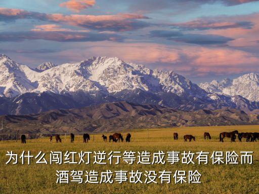 為什么闖紅燈逆行等造成事故有保險而酒駕造成事故沒有保險