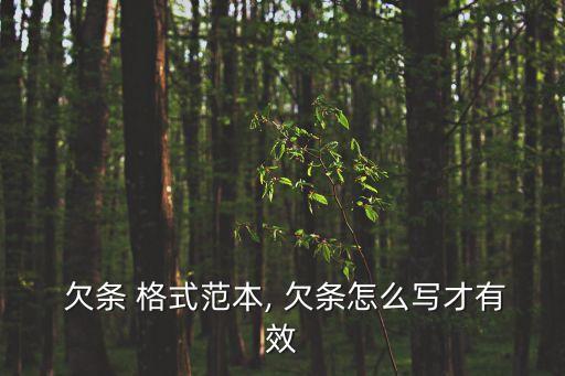 欠條的正確格式,分期還款欠條的正確格式