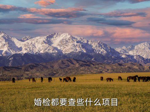  婚檢都要查些什么項(xiàng)目