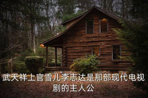 武天祥上官雪兒李志達(dá)是那部現(xiàn)代電視劇的主人公