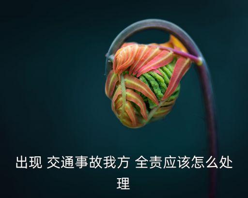 出現(xiàn) 交通事故我方 全責(zé)應(yīng)該怎么處理