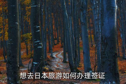 日本旅游簽，去日本旅游日本簽證怎么辦理啊