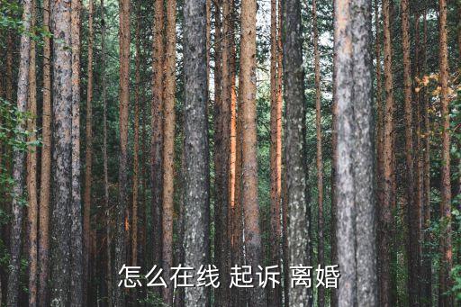 手機(jī)起訴離婚平臺,怎么直接從網(wǎng)上起訴